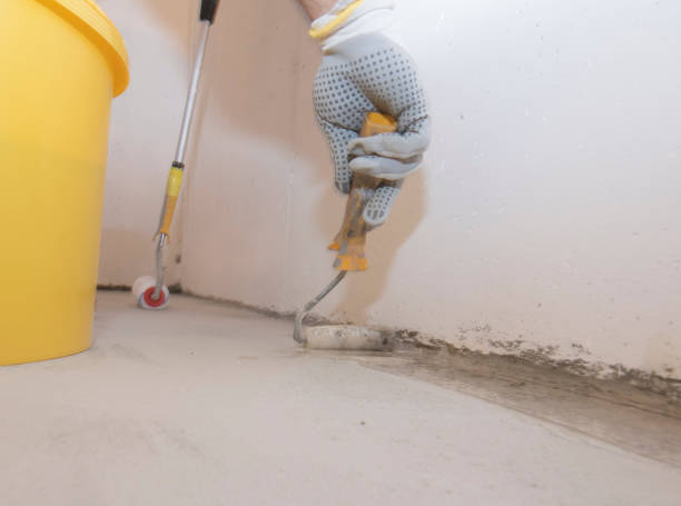 Pest Control for Warehouses in Ajo, AZ